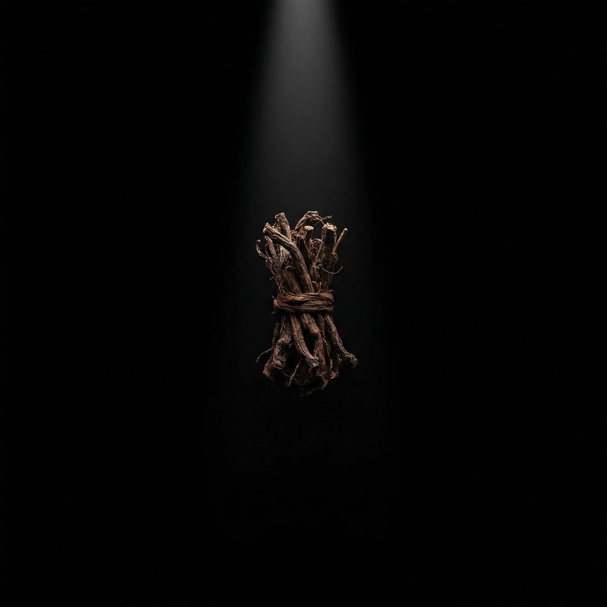vetiver.jpg?v=1772756613&width