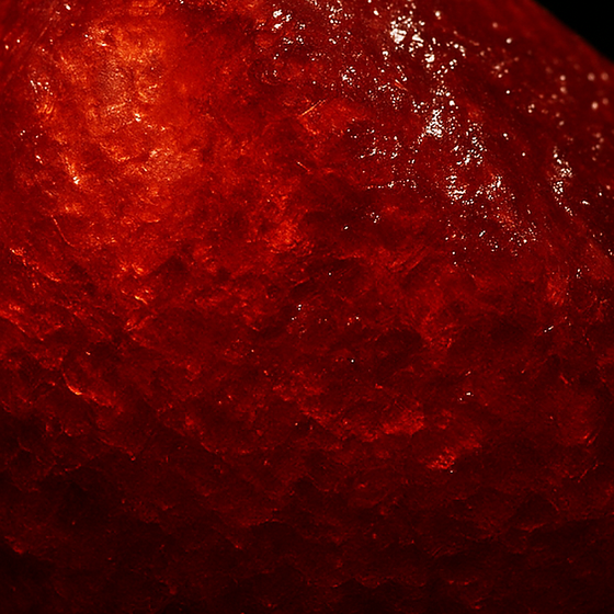 Aldehyde C-16 (Strawberry) perfume ingredient