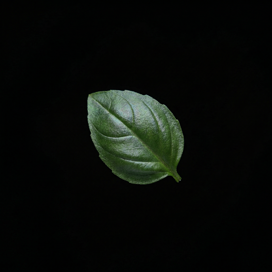 Basil perfume ingredient