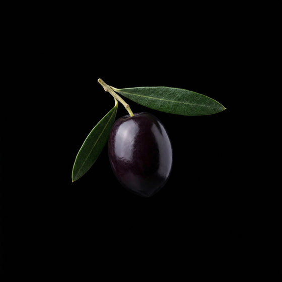 زيتون اسود perfume ingredient
