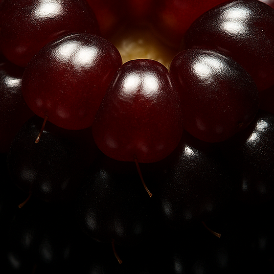 보이센베리 perfume ingredient