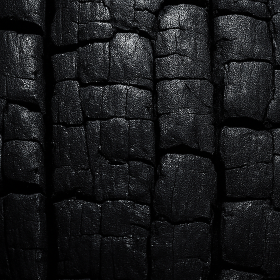 Legno Carbonizzato perfume ingredient