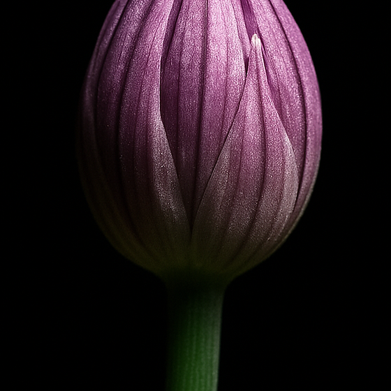 细香葱 perfume ingredient