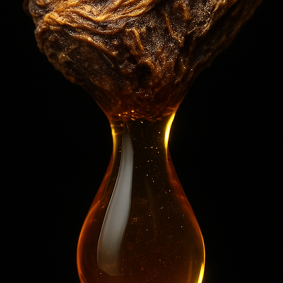 Costusrotolje perfume ingredient