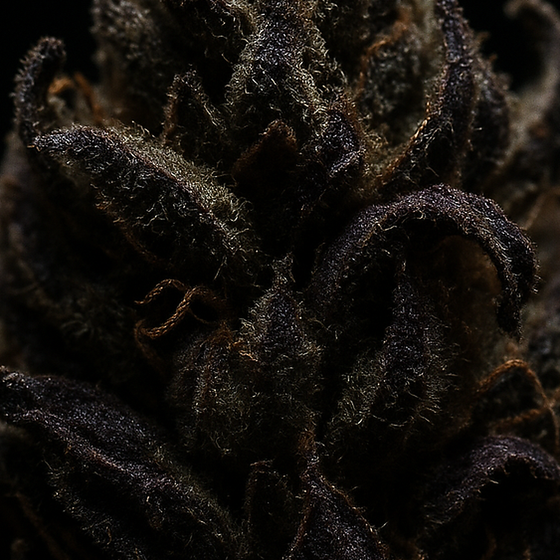 Dark Patchouli perfume ingredient