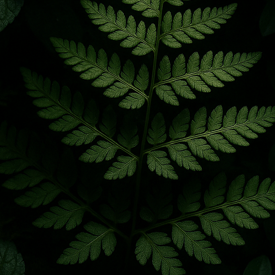 Forest Foliage perfume ingredient
