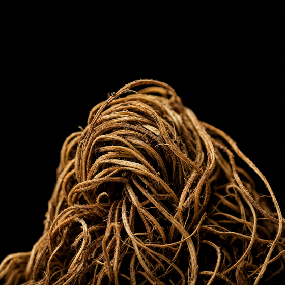 Vetiver perfume ingredient