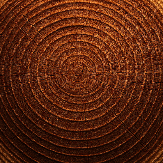 Legno di Hinoki perfume ingredient