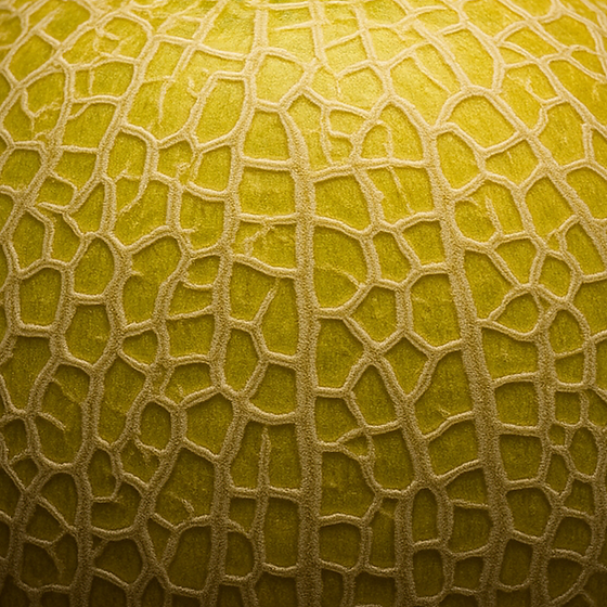 Melón Honeydew perfume ingredient
