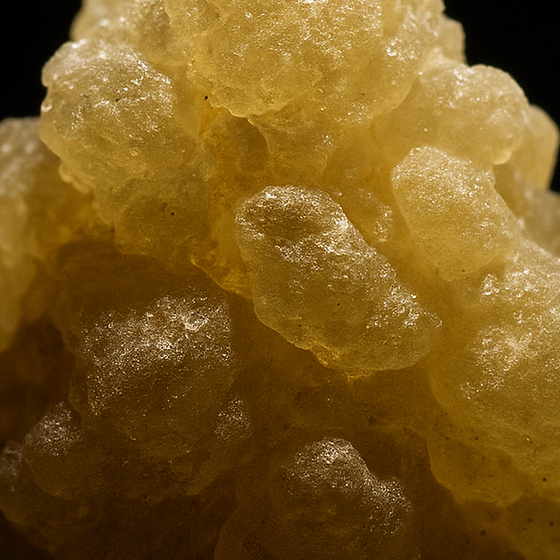Encens perfume ingredient