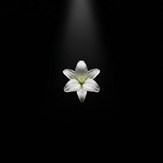 Lírio perfume ingredient