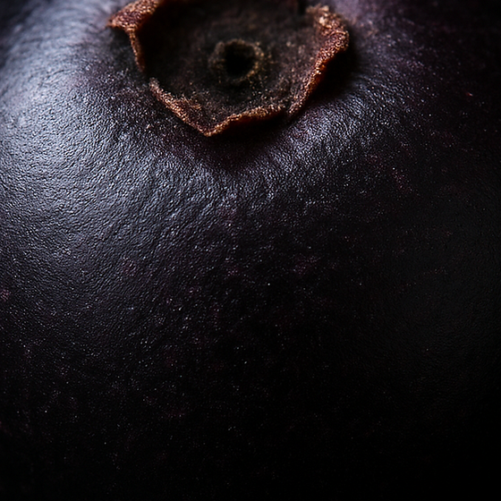 Maqui Berry perfume ingredient