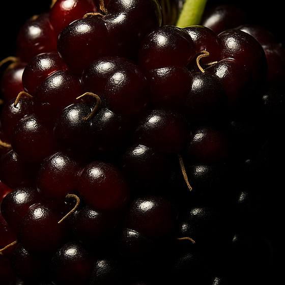 توت العليق perfume ingredient