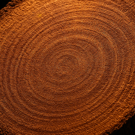 Mysore Sandalwood perfume ingredient