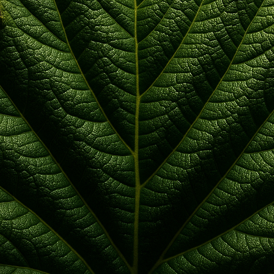 Nalca perfume ingredient