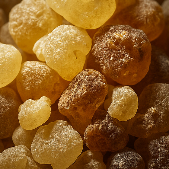 乳香 (Frankincense) perfume ingredient