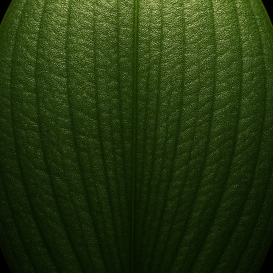 Orchid Leaf perfume ingredient