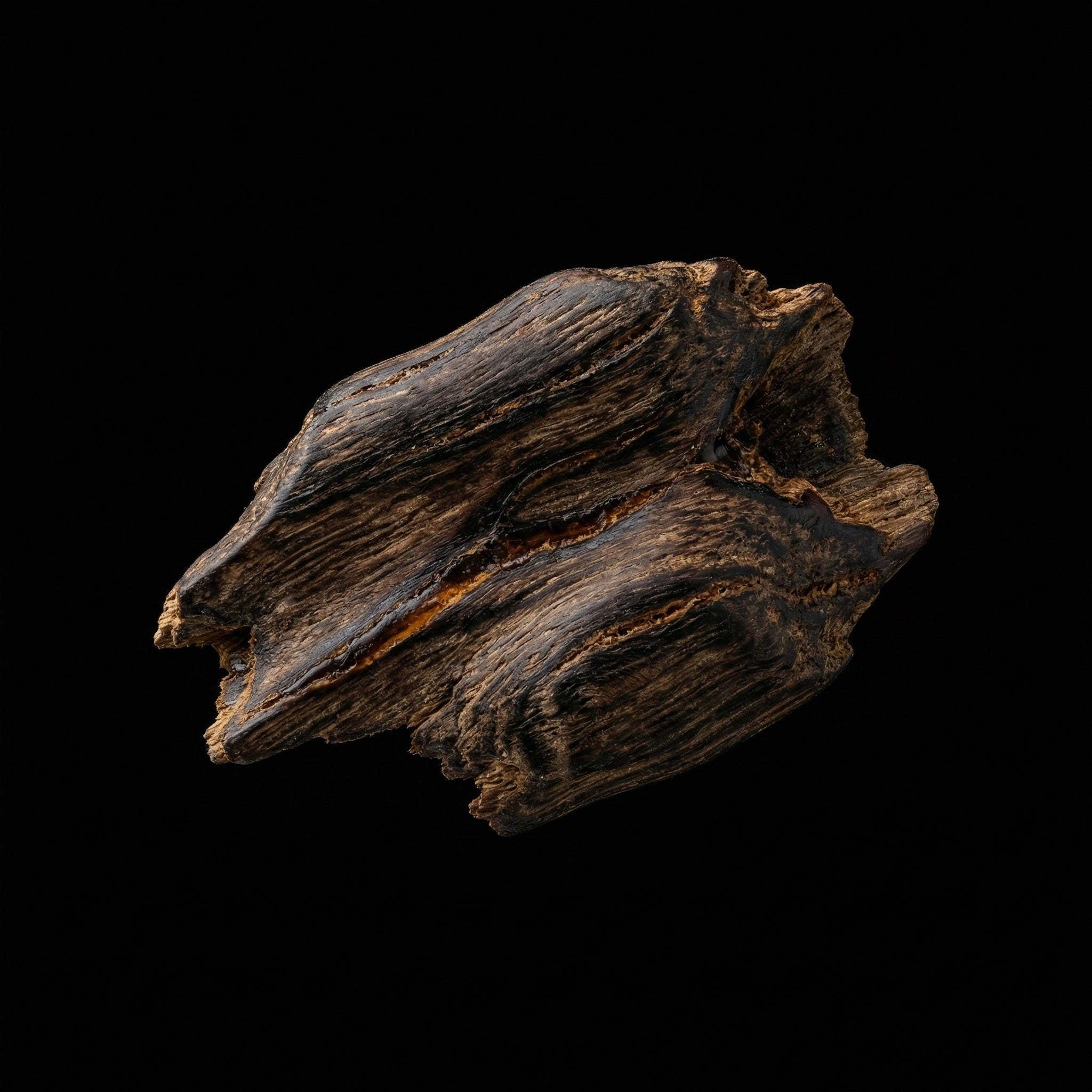 oud.jpg?v=1772756622&width=1200