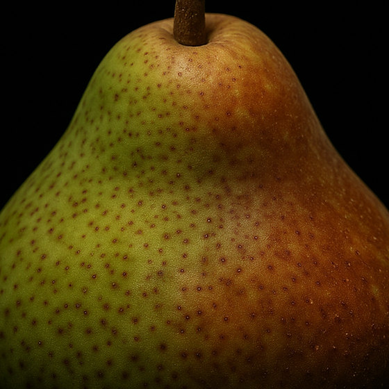 شجرة الكمثرى perfume ingredient