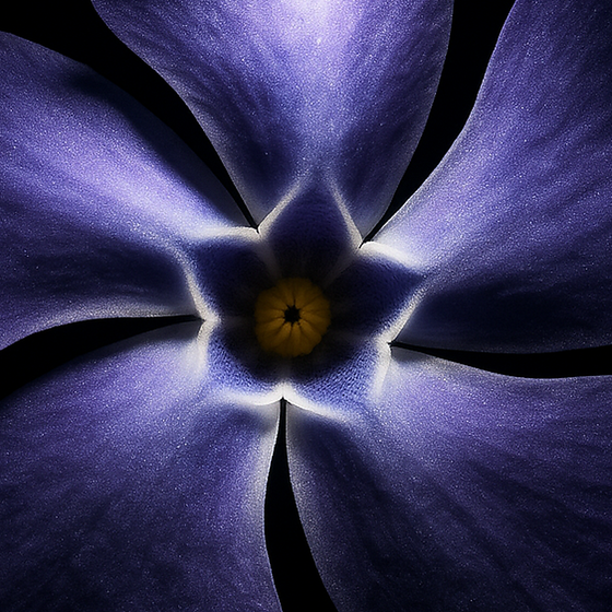 Periwinkle perfume ingredient