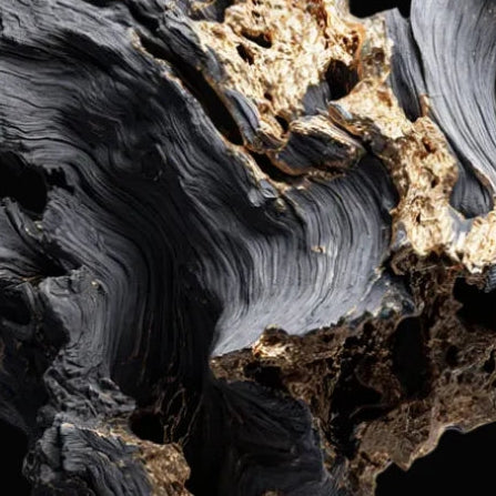 Wooden driftwood piece on a black background