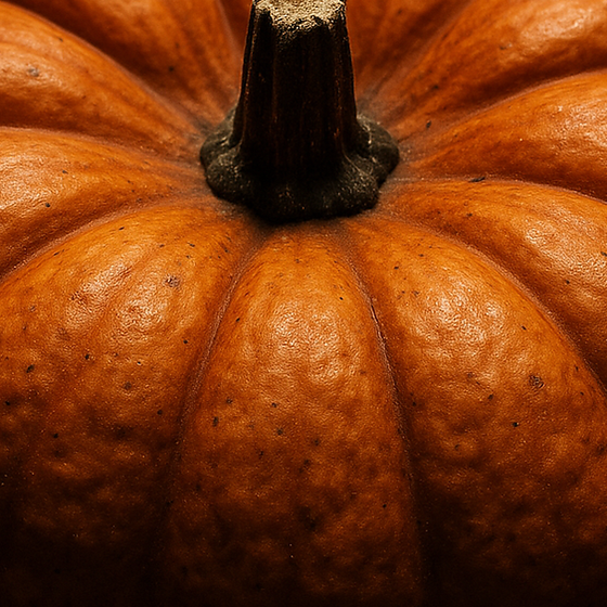דלעת perfume ingredient