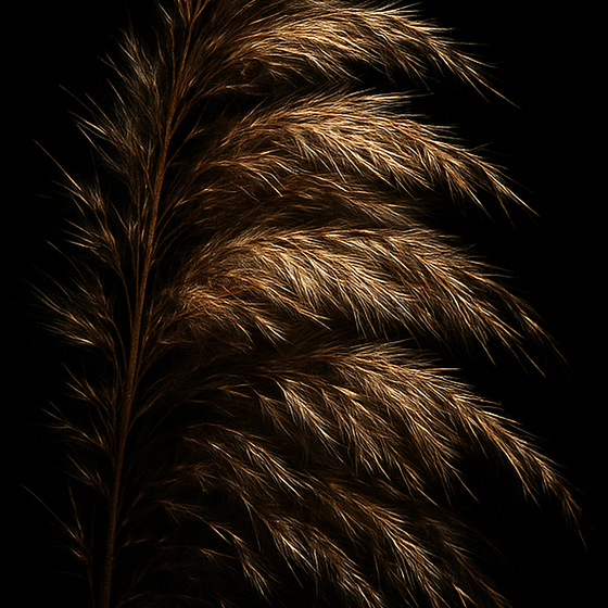 Reed perfume ingredient