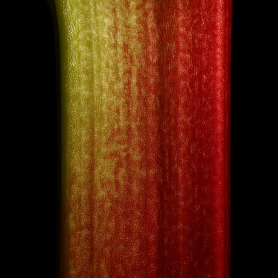 Rhubarb perfume ingredient