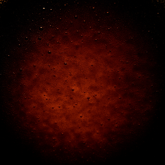 רוטב סויה perfume ingredient