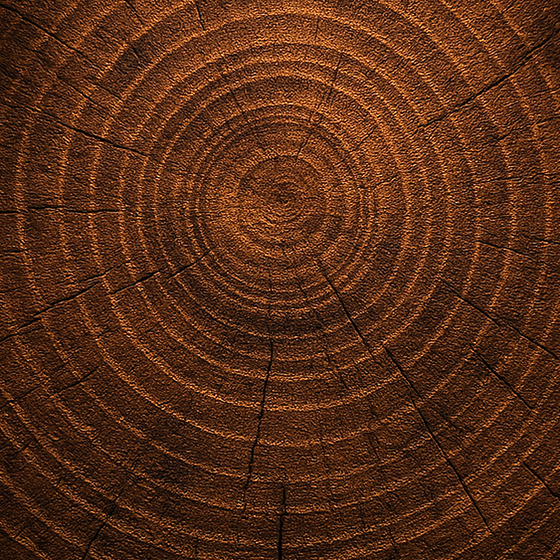 Teak Wood perfume ingredient