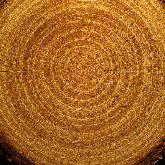 Thanaka Wood perfume ingredient