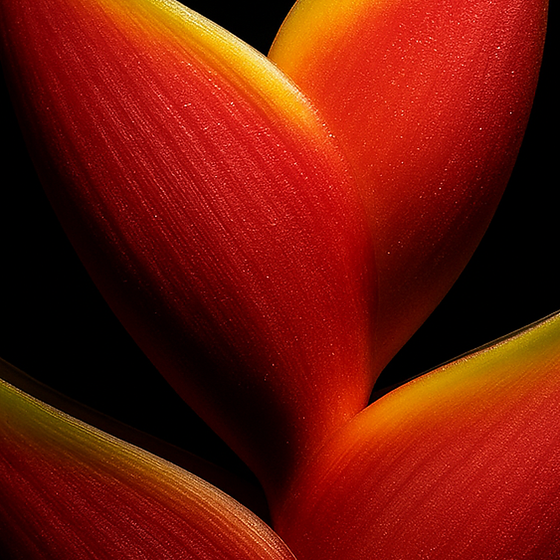 Tropicalone perfume ingredient