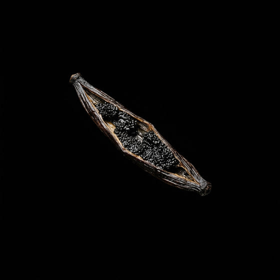 Wanilia perfume ingredient