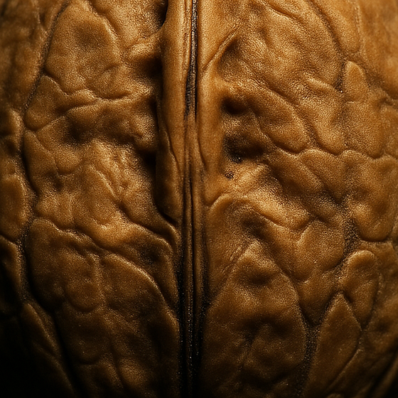 Walnuss perfume ingredient