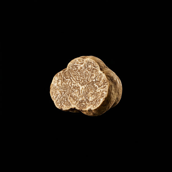 White Truffle perfume ingredient