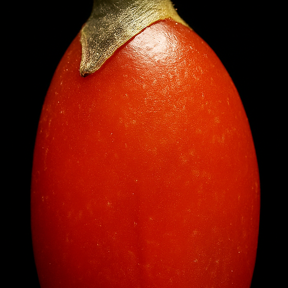枸杞 perfume ingredient